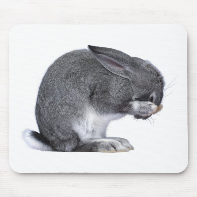 Verzweifelndes Kaninchen Mousepad (Vorne)