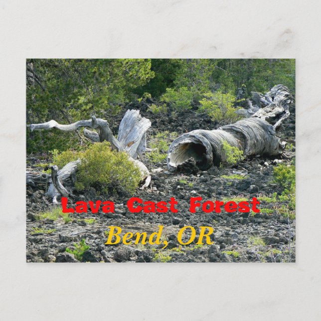 Verzweiflung Postkarte (Vorderseite)