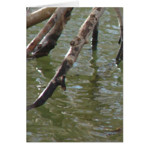 Verzweigt Jeden Anlaß Grußkarte