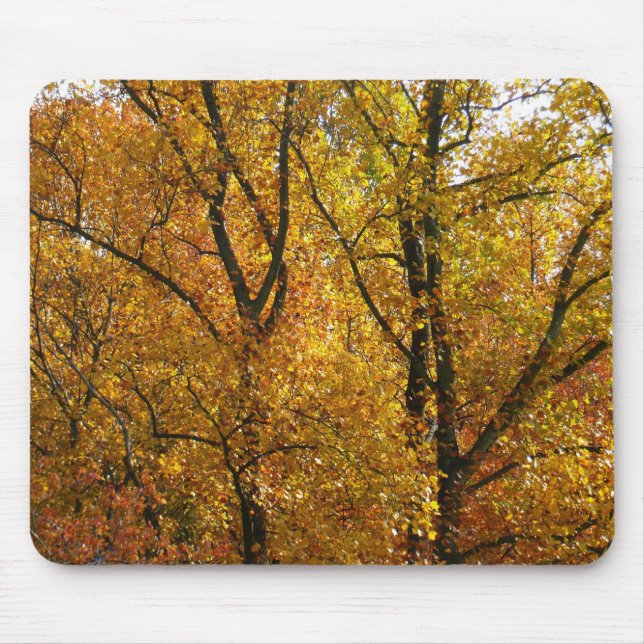Verzweigungen gelber Blätter Heller Herbst farbenf Mousepad (Vorne)
