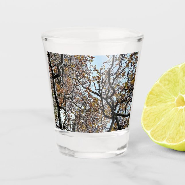 Verzweigungen mit orangefarbenen Blätter Schnapsglas (Vorderseite)