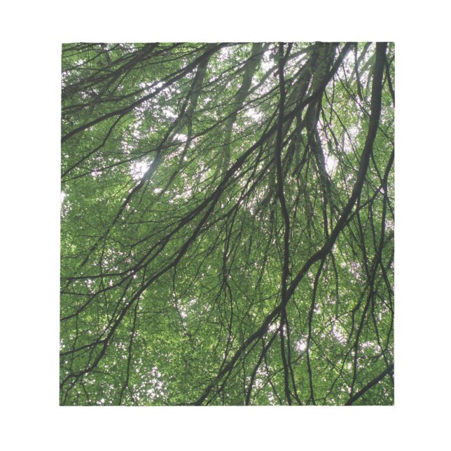 Verzweigungen und Blätter Notepad Notizblock (Vorderseite)