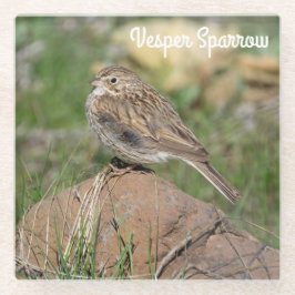 Vesper Sparrow Glasuntersetzer