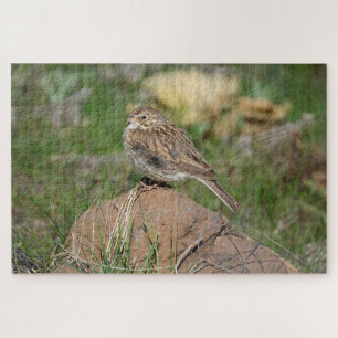 Vesper Sparrow Puzzle