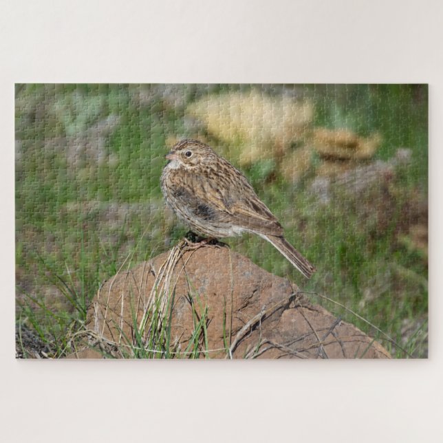 Vesper Sparrow Puzzle (Horizontal)