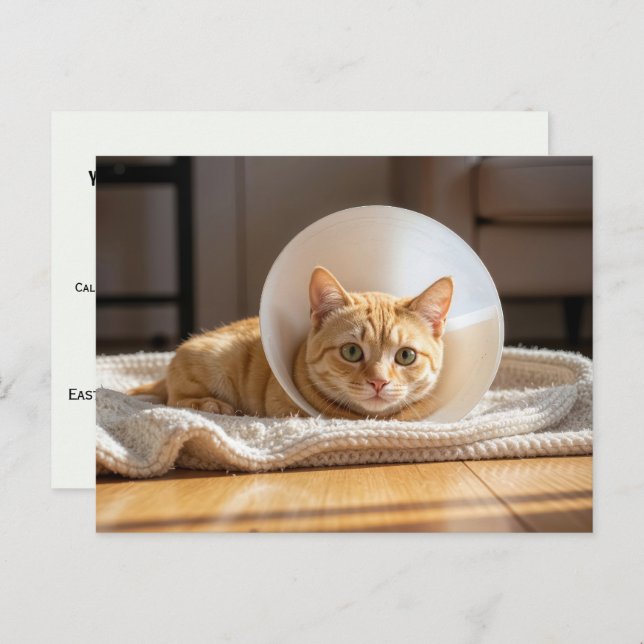 Veterinarian Ginger Cat Wearing a Cone of Shame Postkarte (Vorne/Hinten)