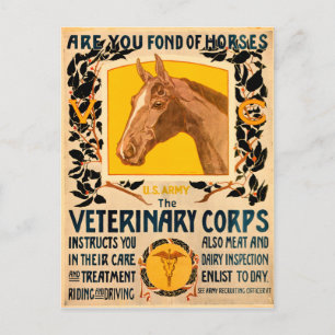Veterinärkorps Postkarte