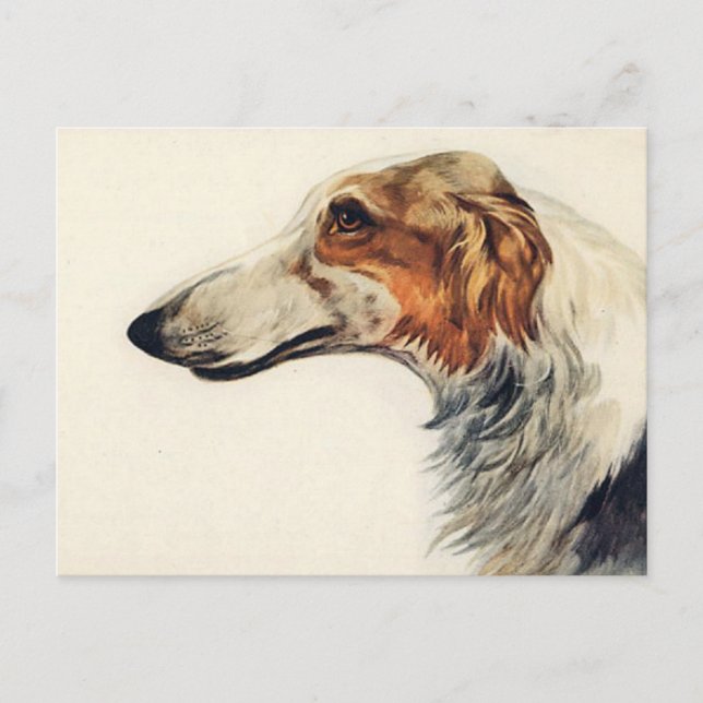 Veterinärmedizinische Erinnerung Postkarte (Vorderseite)