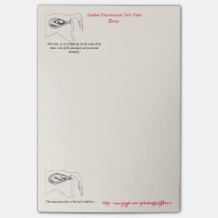 "VeterinärTechnologie-Anmerkungen " Post-it Klebezettel