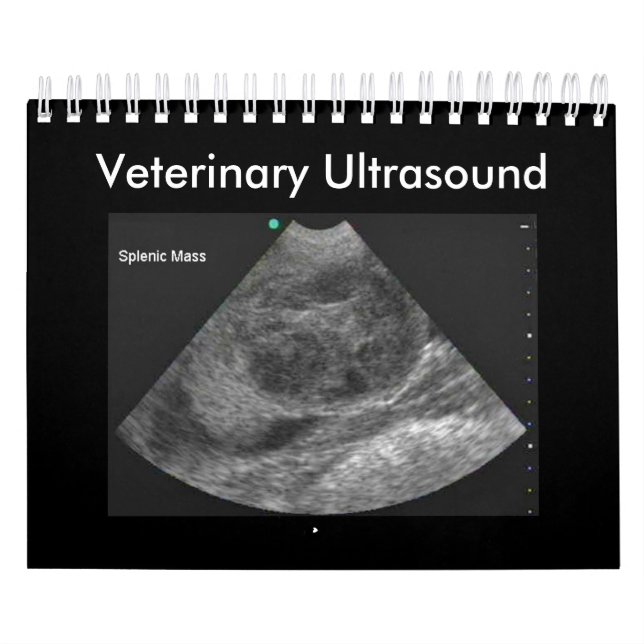 Veterinärultraschall-Kalender Kalender (Titelbild)