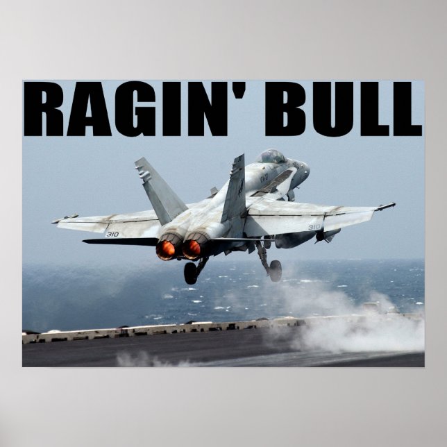 VFA-37 Ragin' Bull Poster (Vorne)