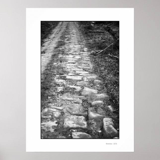 VIA ROMANA Poster (Vorne)