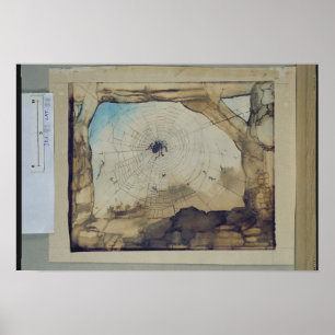 Vianden durch das Web einer Spinne Poster