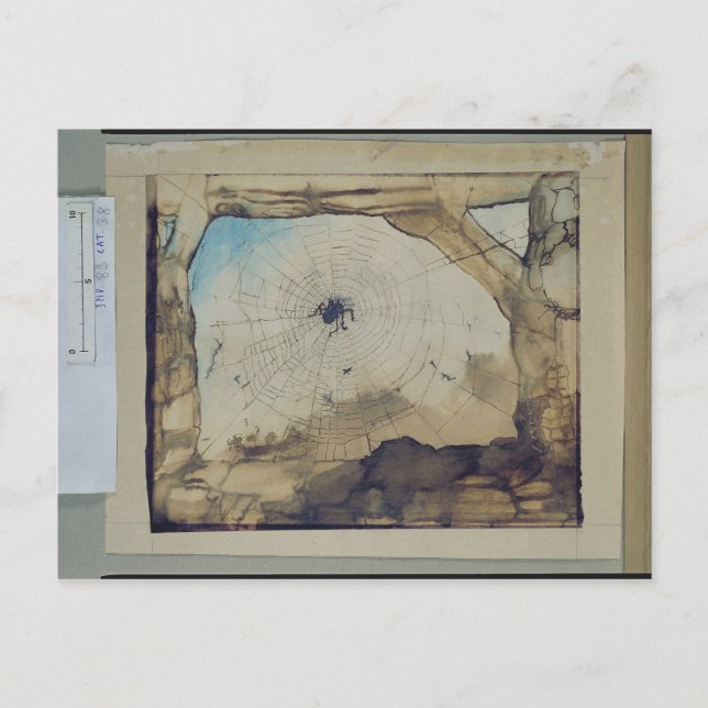 Vianden durch das Web einer Spinne Postkarte (Vorderseite)