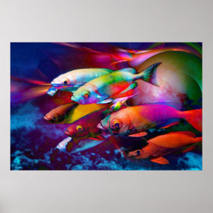 VIBRANCE POSTER