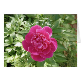 Vibranly Pink Peony Blume Rosh Hashanah Card