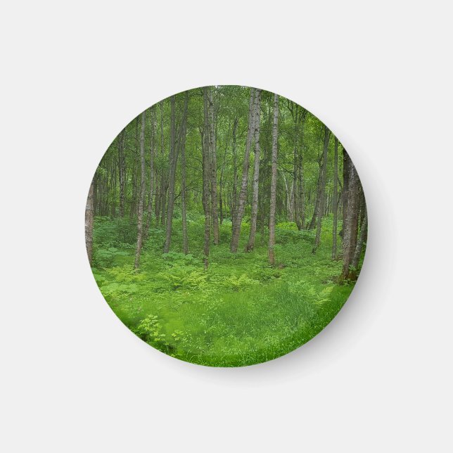 Vibranly Woodland Nature Magnet (Vorne)