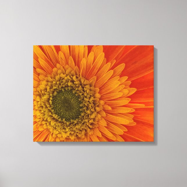 Vibrannt Orange Gerbera Daisy Stretched Canvas Pri Leinwanddruck (Vorderseite)