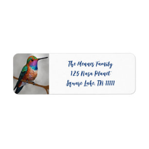 Vibrant Allen's Hummingbird-Malerei