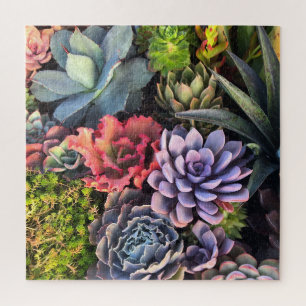 Vibrant and Colorful Succulent Garden Puzzle