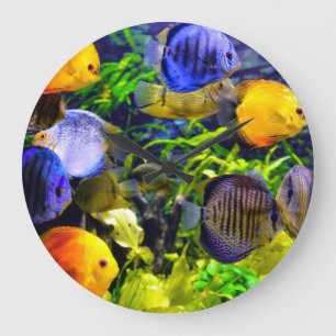 Vibrant Colorful Aquatic Tropical Sea Fish Große Wanduhr