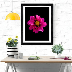 Vibrant Dahlia Fotodruck