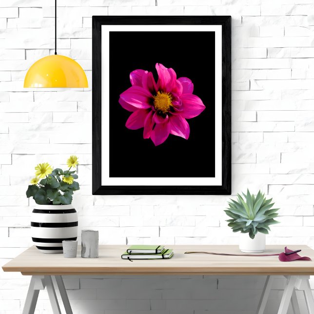 Vibrant Dahlia Fotodruck (Von Creator hochgeladen)