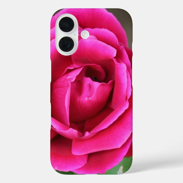 Vibrant Fuchsia Pink Rose Blossom Makro Case Mate (Rückseite)
