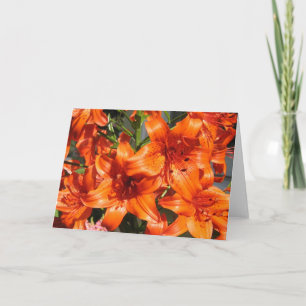 Vibrant Orange Tiger Lilies Karte