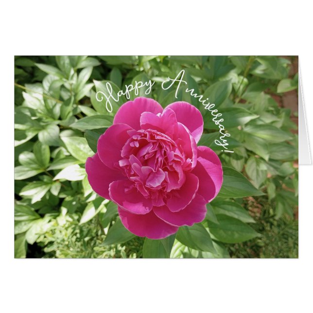 Vibrant Pink Peony Flower Anniversary Card (Vorderseite (Horizontal))