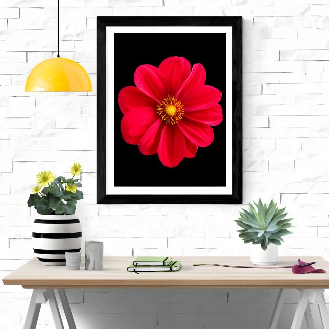 Vibrant Red Dahlia Fotodruck (Von Creator hochgeladen)