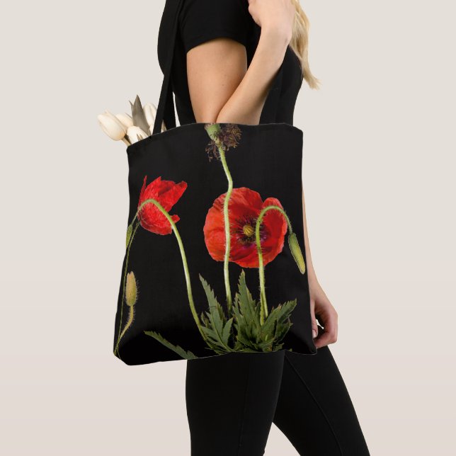 Vibrant Red Poppies on Black (Von Nahem)