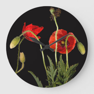 Vibrant Red Poppies on Black Große Wanduhr