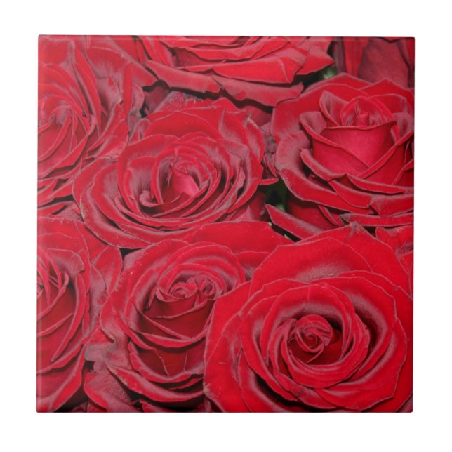 Vibrant Red Roses  Fliese (Vorderseite)