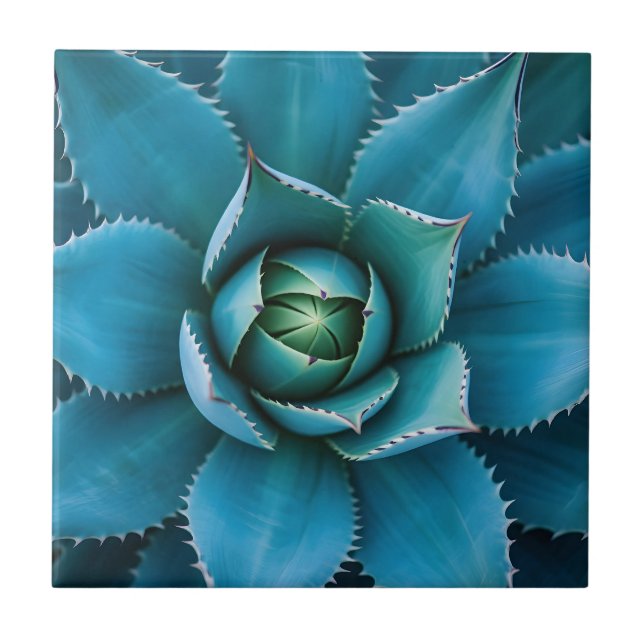 Vibrant Teal Agave Succulent Macro Geometric  Fliese (Vorderseite)