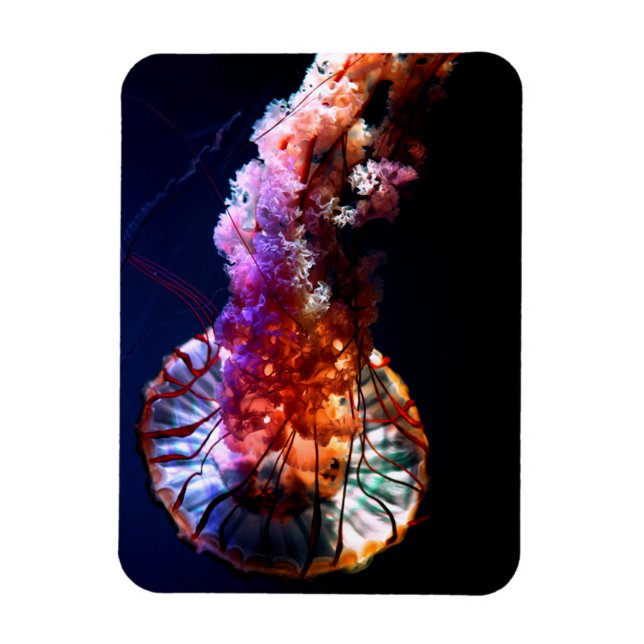 Vibrant Tropical Undersea Jellyfish Magnet (Vertikal)