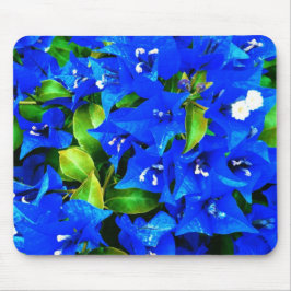Vibrierende blaue Bouganvilla-Blumen Mousepad