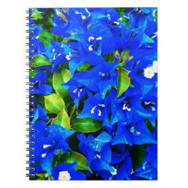 Vibrierende blaue Bouganvilla-Blumen Notizblock