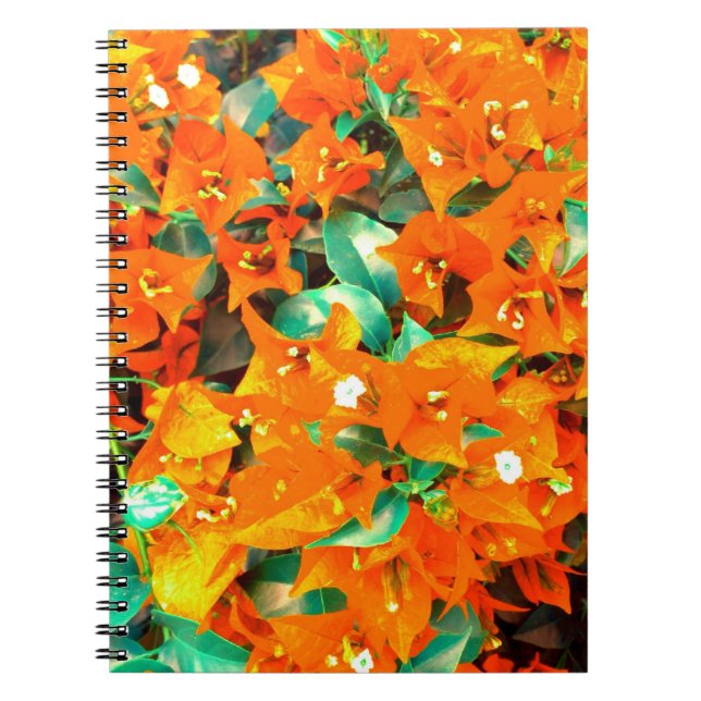 Vibrierende orange Bouganvilla-Blumen Notizblock (Vorderseite)