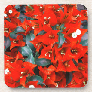 Vibrierende rote Bouganvilla-Blumen Untersetzer