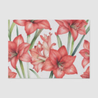 Vibrierendes Amaryllis Wasserfarben-Muster in Rot