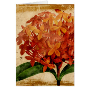 Vibrierendes Blumen-III