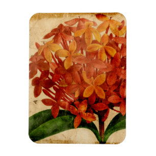 Vibrierendes Blumen-III Magnet