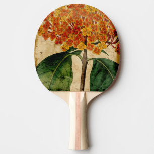 Vibrierendes Blumeni Tischtennis Schläger