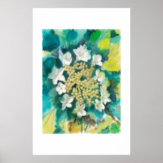 Viburnum-Blüten Poster