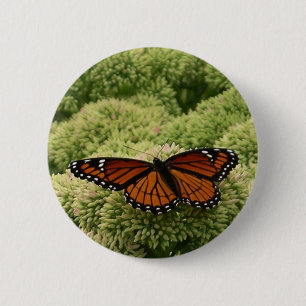 Viceroy Butterfly Schöne Naturfotografie Button