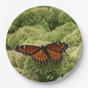 Viceroy Butterfly Schöne Naturfotografie Pappteller