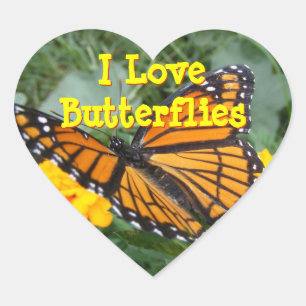 Viceroy Butterfly Stickers