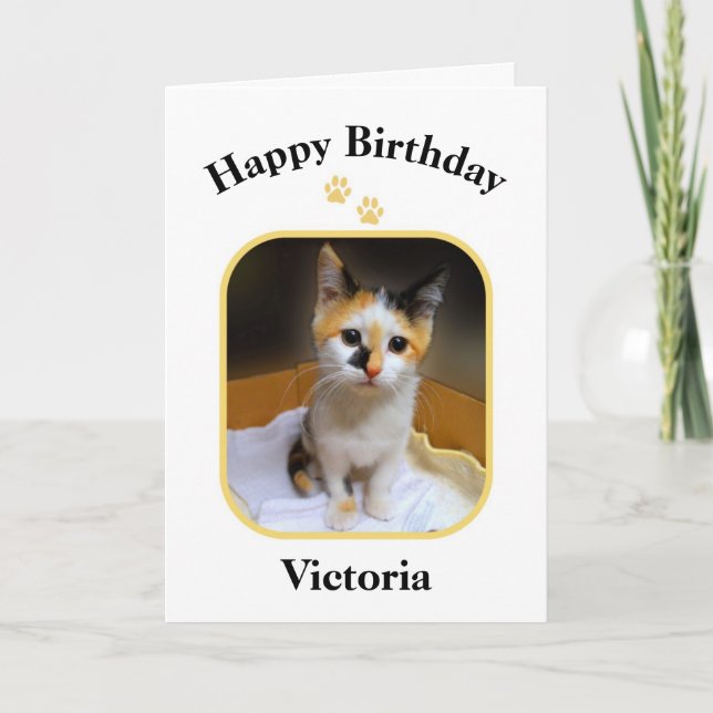 Victoria Calico Kitten Happy Birthday Karte (Vorderseite)
