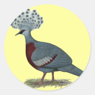 Victoria Crowned Pigeon Runder Aufkleber